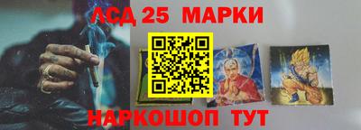 гашик Можга