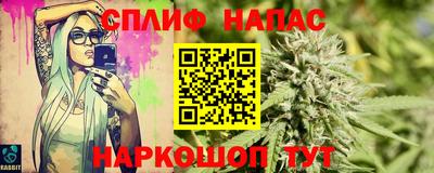 гашик Можга