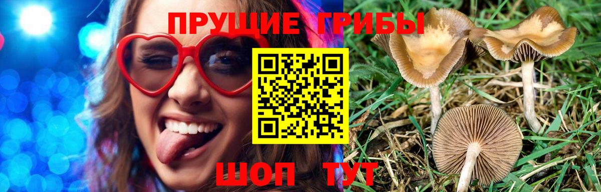 Галлюциногенные грибы мицелий Стрежевой